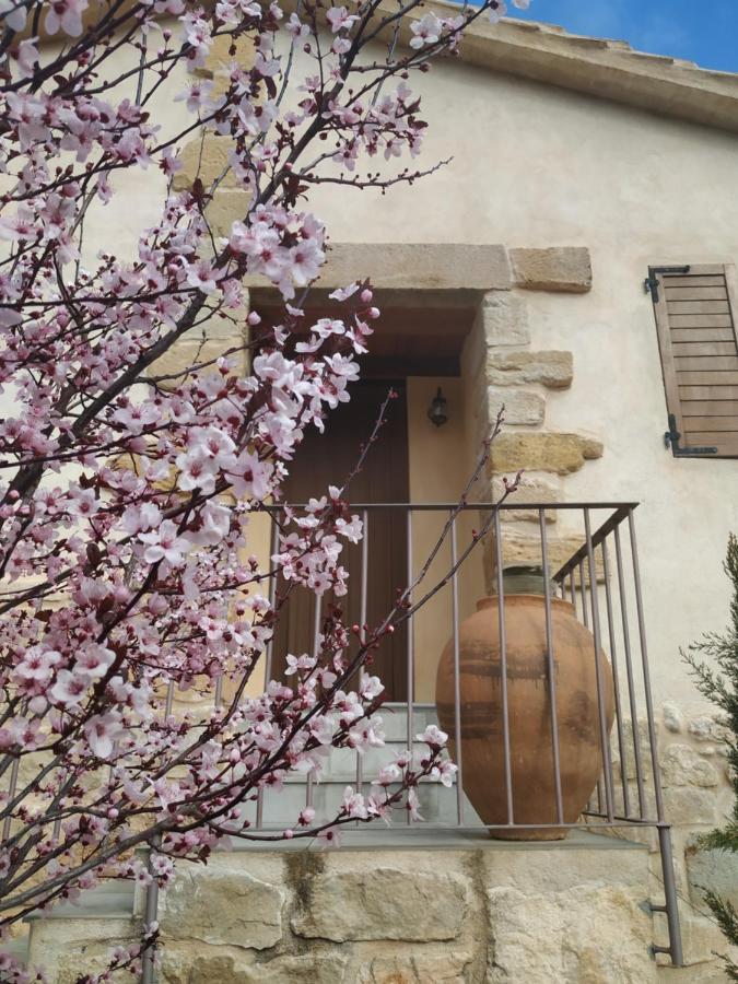 Pensjonat Maset Del Riu Valderrobres Zewnętrze zdjęcie
