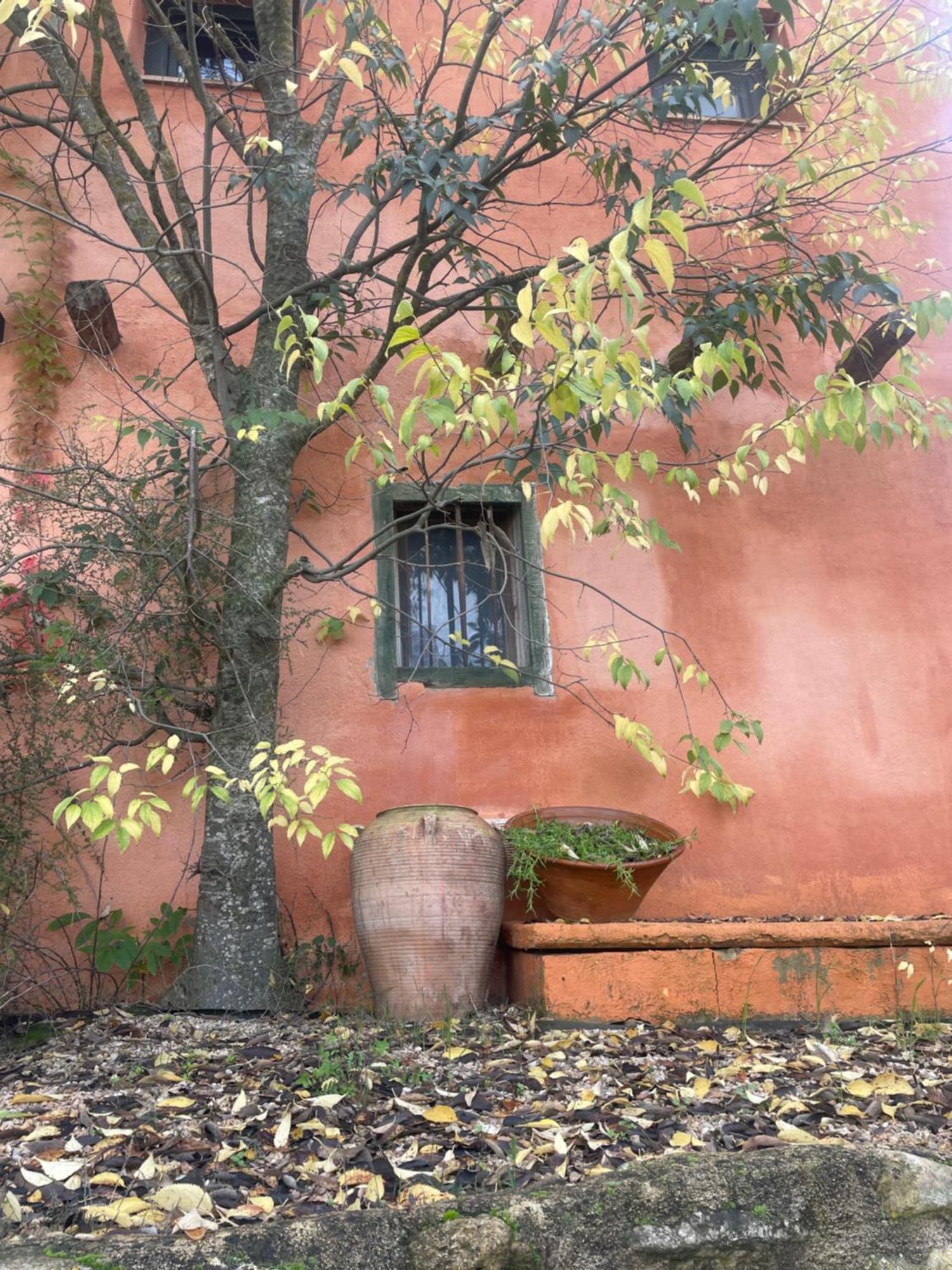 Pensjonat Maset Del Riu Valderrobres Zewnętrze zdjęcie